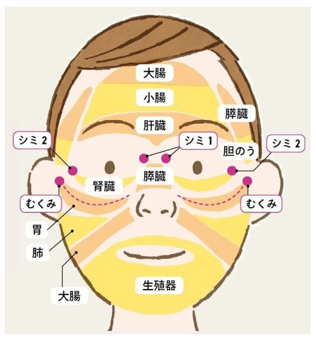 シミ、肝斑、むくみ、フェイスマッピング